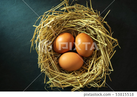 The eggs in the nest made of rice straw. The eggs in the nest made of rice straw. 53815518