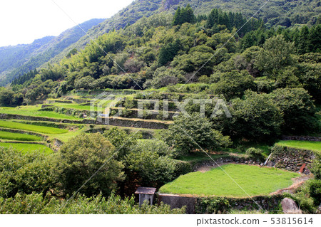 Satoyama summer landscape of terraced rice terraces with greenery 53815614