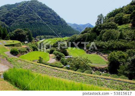 Satoyama summer landscape of terraced rice terraces with greenery 53815617