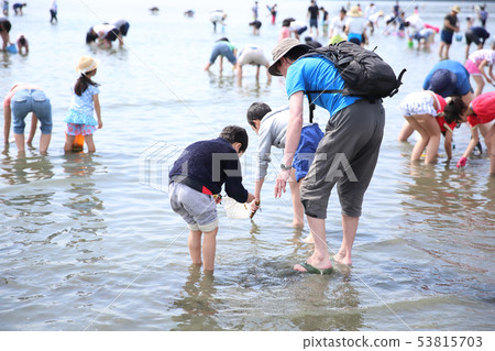 享受海獅狩獵的父母和孩子 享受海獅狩獵的父母和孩子 53815703