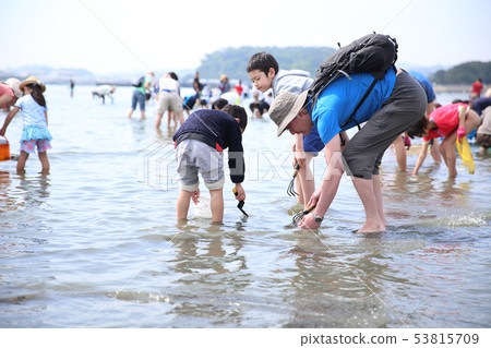 Parents and children who enjoy sea lion hunting Parents and children who enjoy sea lion hunting 53815709