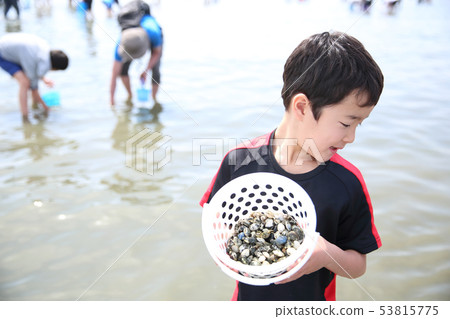 Parents and children who enjoy sea lion hunting 53815775
