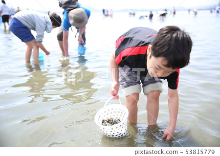 Parents and children who enjoy sea lion hunting 53815779