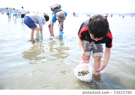 Parents and children who enjoy sea lion hunting Parents and children who enjoy sea lion hunting 53815780