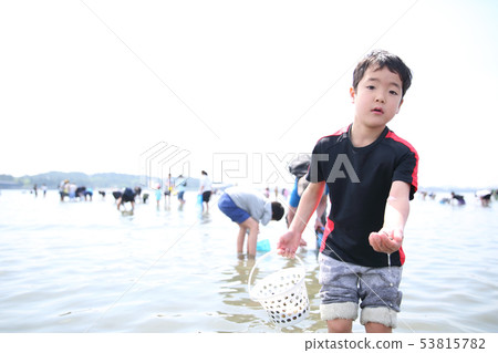 Parents and children who enjoy sea lion hunting Parents and children who enjoy sea lion hunting 53815782