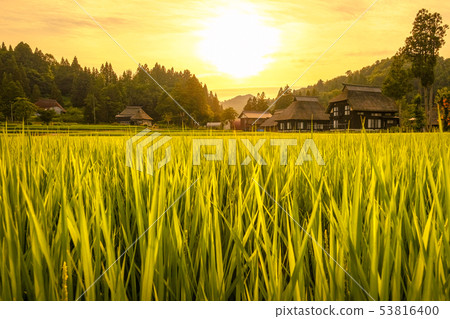 Summer rural landscape (at dusk of Ashinoshima ring village) 53816400