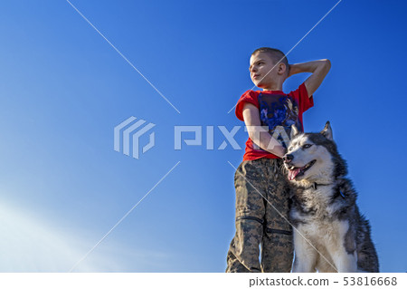 Boy with Siberian husky dog on blue sky background Boy with Siberian husky dog on blue sky background 53816668