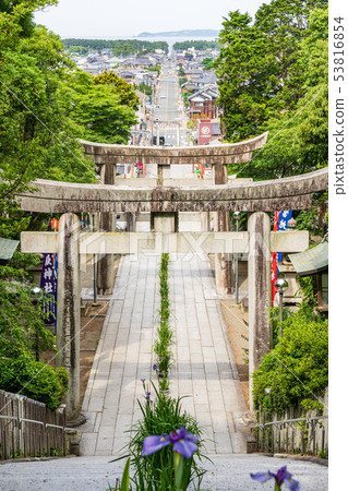 宮城神社的光明之路（福岡縣福津市） 53816854