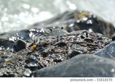 如果仔細觀察 53818570