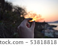 Grab the sunset 53818818