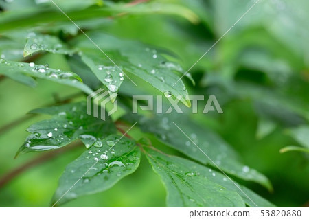 斧頭在一個下雨天 斧頭在一個下雨天 53820880
