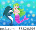 Mermaid and dolphin 53820896