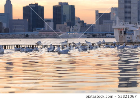 東京灣日落視圖 東京灣日落視圖 53821067