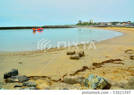 Whale's Daichan Whale's Daichan 53821397