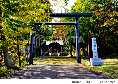在小樽市哈爾濱稻荷神社的鳥居 53822206