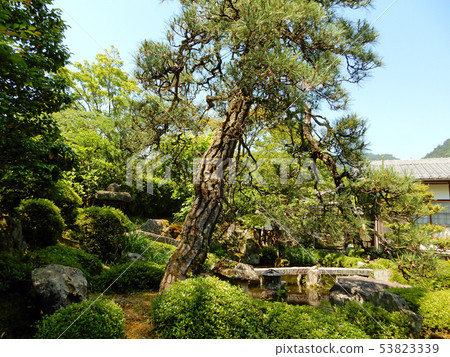 Sakamoto Liobo Garden Shoujin Sakamoto Liobo Garden Shoujin 53823339