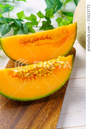 melon 53823771
