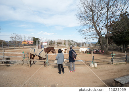 Gifu Seiryu Satoyama Park 53823969