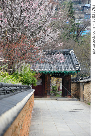 Jeollanam-do，Jeollabuk-do，韓國 53825762