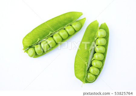 綠色和平 53825764