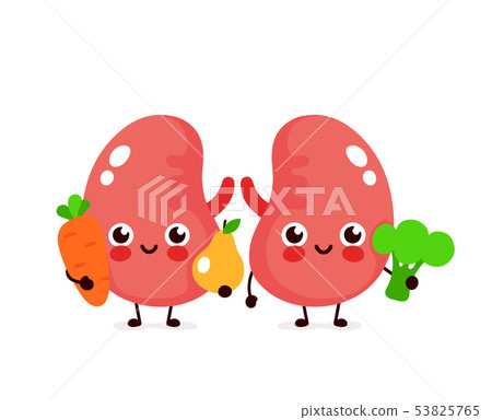 Cute healthy happy kidneys character 53825765
