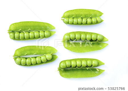 綠色和平 綠色和平 53825766