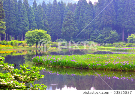 岩石池的刺穿鐵鏽 53825887