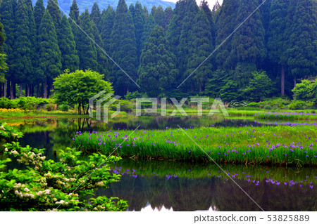 Piercing rust of rock pond Piercing rust of rock pond 53825889