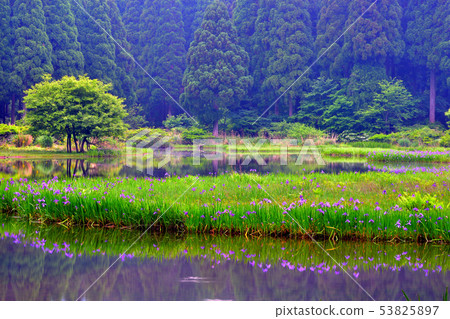 Piercing rust of rock pond Piercing rust of rock pond 53825897