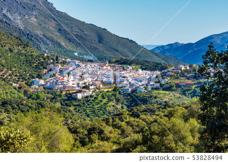 Cortes de la Frontera, Malaga Province, Andalusia, Spain, Western Europe. Cortes de la Frontera, Malaga Province, Andalusia, Spain, Western Europe. 53828494