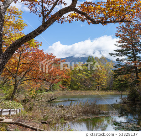 Nikko, Tochigi Prefecture Imonmon Pond Mt. Mantai (October) Autumn leaves 53829137