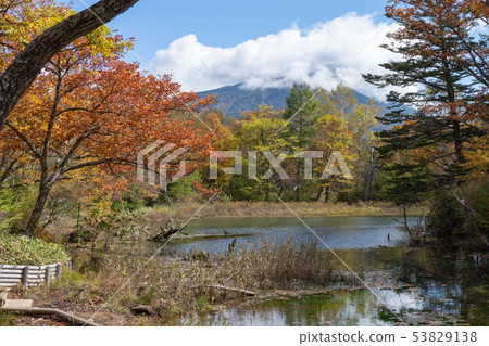 栃木縣日光市Imonmon Pond Mt. Mantai（十月）秋葉 53829138