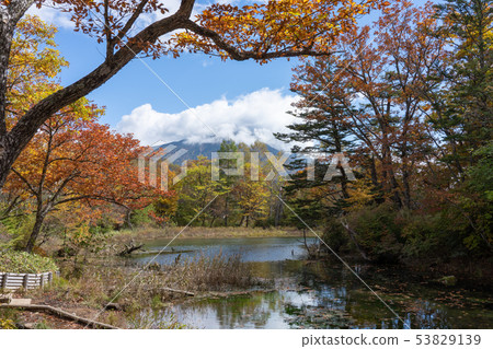栃木縣日光市Imonmon Pond Mt. Mantai（十月）秋葉 53829139