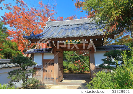 [Kyoto] Autumn leaves at Genkouan 53829961
