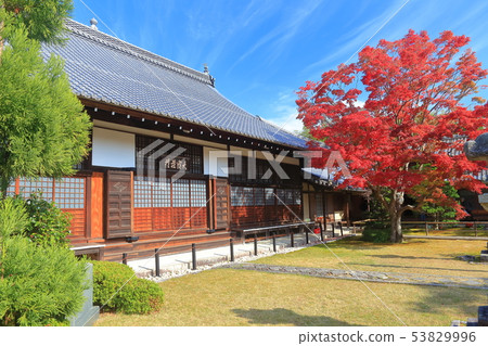 [Kyoto Prefecture] Genkouan Main temple autumn leaves 53829996