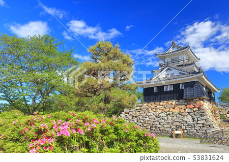 [靜岡]濱松城，綠意盎然 53831624