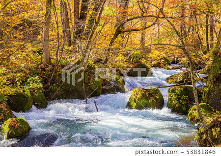 東北青森的秋天秋天的葉子Okuirase山間溪流Ashura流 53831846