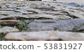 Street of Barcelona low view on old pavement  53831927