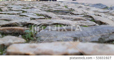 Street of Barcelona low view on old pavement Street of Barcelona low view on old pavement 53831927