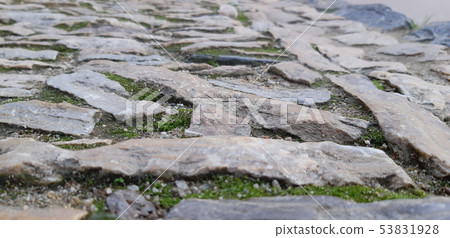 Street of Barcelona low view on old pavement Street of Barcelona low view on old pavement 53831928