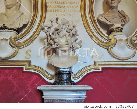 Bernini's Medusa Bernini's Medusa 53832408