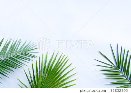 Summer flat lay scenery 53832893