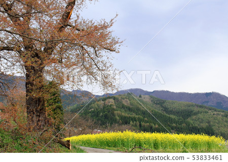 信州部分1906年的風景 信州部分1906年的風景 53833461
