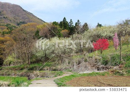 信州部分1906年的風景 53833471