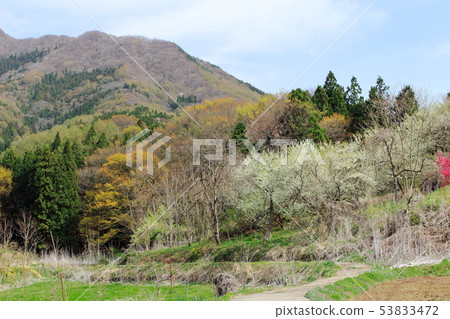 信州部分1906年的風景 信州部分1906年的風景 53833472