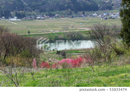 信州部分1906年的風景 信州部分1906年的風景 53833474