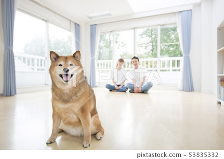 Shiba Inu and owner's couple 53835332