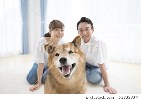 Shiba Inu and owner's couple 53835337