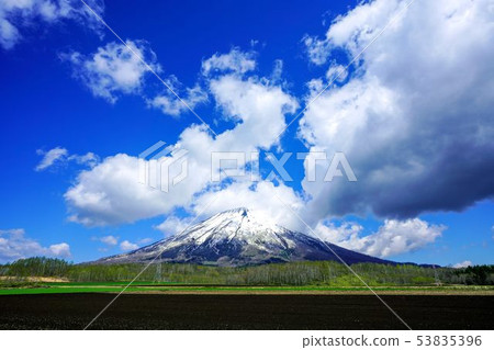 Yoteizan Kyogokucho in spring Yoteizan Kyogokucho in spring 53835396