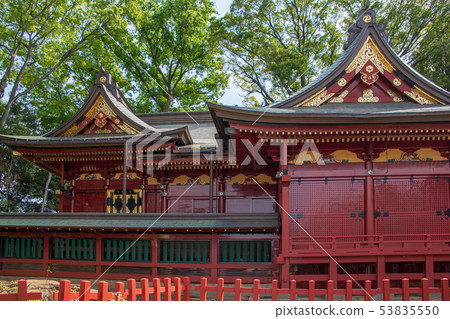 Miyoshino Shrine Kawagoe City, Saitama Prefecture 53835550